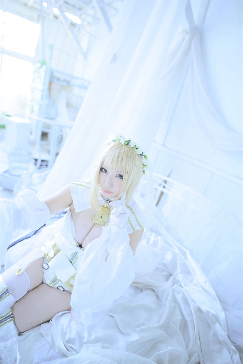 [Shooting Star's] Blessings rose 巨乳尼禄花嫁【298P】