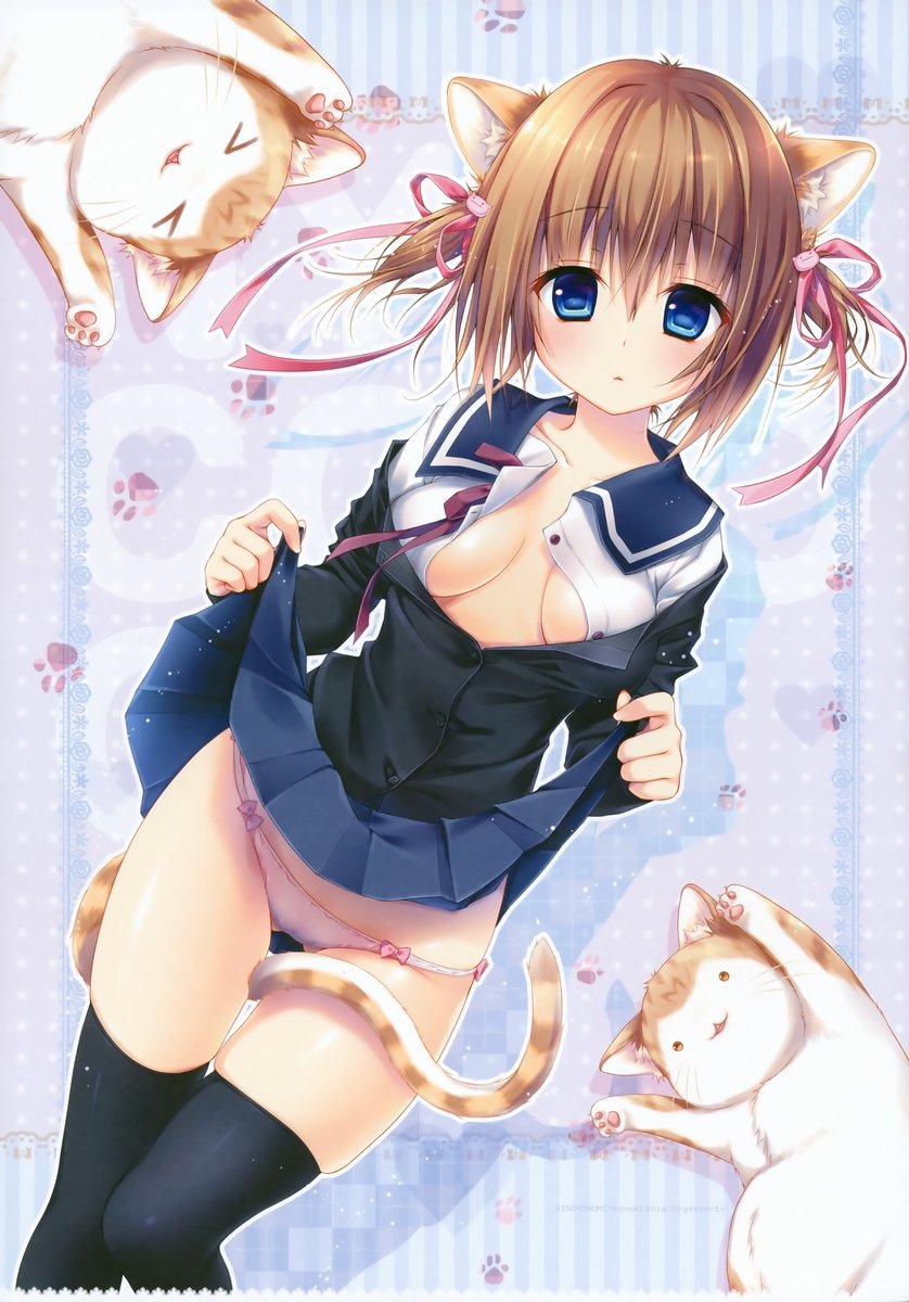 二次元美少女猫耳精品图集打包下载【66P/26.6MB】