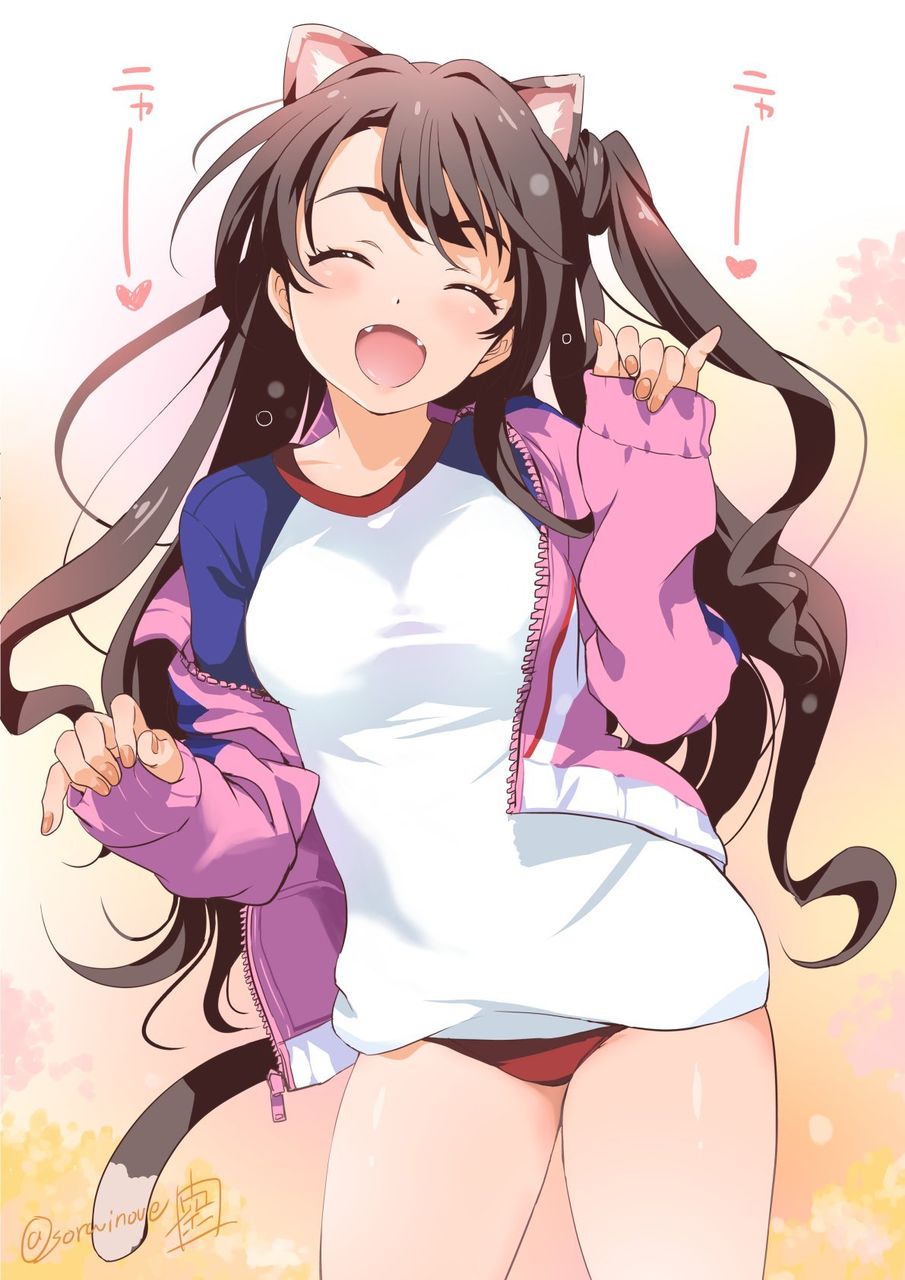 二次元美少女猫耳精品图集打包下载【66P/26.6MB】